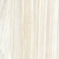 Softwood Crema Tile