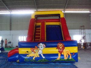 Inflatable Slide Bouncy