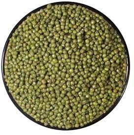 Moong Seeds