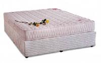 Springwell Mattress