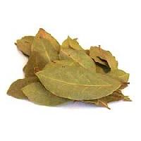 Bay Leaves