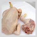 Chicken Bone in Cuts