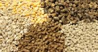 cattle feed raw materials