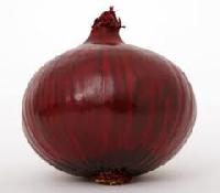 Red Onion