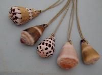 shell jewelry