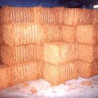 Coir Fiber Bales