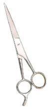 Stainless Steel Scissor