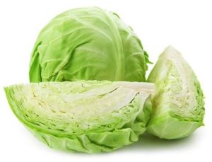 Fresh Cabbage