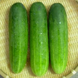 Fresh Cucumber