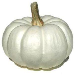 Fresh White Pumpkin