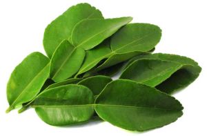 Fresh Kaffir Lime Leaves