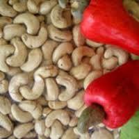 cashew nut w180 w 320