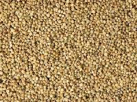 Guar Seeds