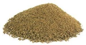 Noni Dried Powder