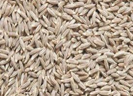 Cumin Seeds