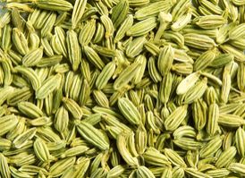 Fennel Seeds