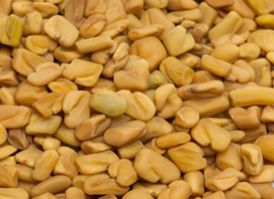 Fenugreek Seeds