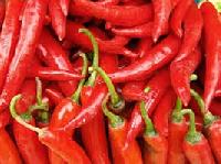 Fresh Red Chilli