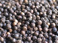 India Black Pepper Mg1