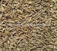 Cumin Seeds