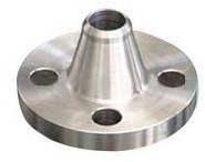 Stainless Steel Flanges