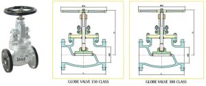 Globe Valves