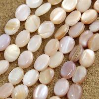 Shell Beads