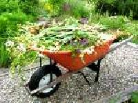 Wheelbarrow Wb-01