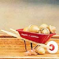 Wheelbarrow Wb-07