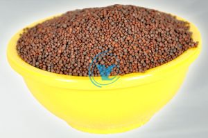 Mustard Seeds