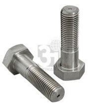 Stainless Steel Hex Bolts