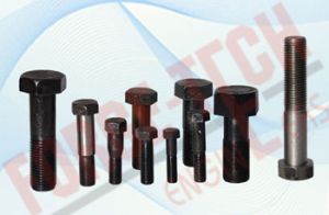 Hex Head Bolts