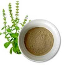 organic tulsi powder