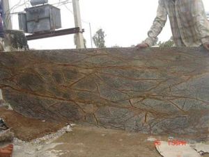 Rainforest Antique Green Marble Stone