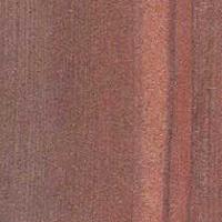 Desert Multi Colour Sandstone