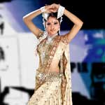 Lavani Dance Organizer Lavani Dance Organizer