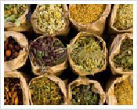 Medicinal herbs