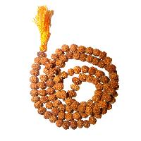 SEVEN MUKHI RUDRAKSHA MALA