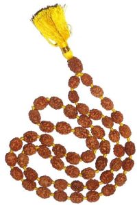 THREE MUKHI RUDRAKSHA MALA