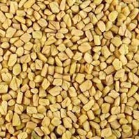 Fenugreek Seeds