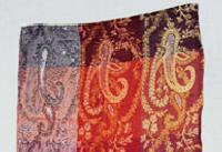 Multi colour pasiley scarf