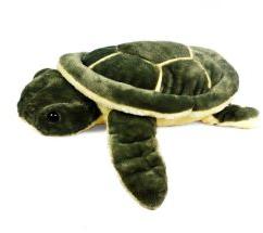 SOFT TOY TURTLE