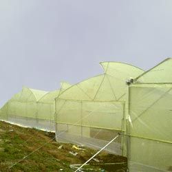 Naturally Ventilated Greenhouse