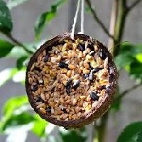 Coconut Bird Feeder