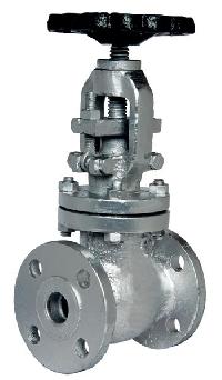 Globe Valve