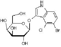 5 Bromo 4 Chloro 3 Indolyl Beta D Galactopyranoside