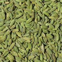 Fennel Seeds