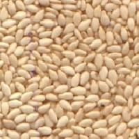 Sesame Seeds