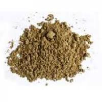 Oyster Meat Powder