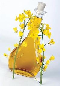 Canola Oil